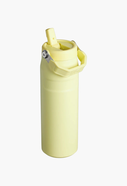 The IceFlow™ Bottle with Flip Straw Lid